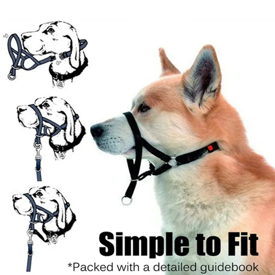 Dog Halter Training Head Collar