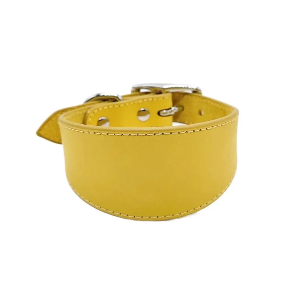 Adjustable Leather Dog Collar
