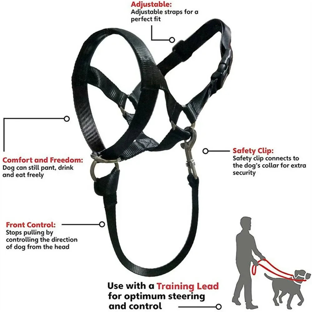 Dog Halter Training Head Collar