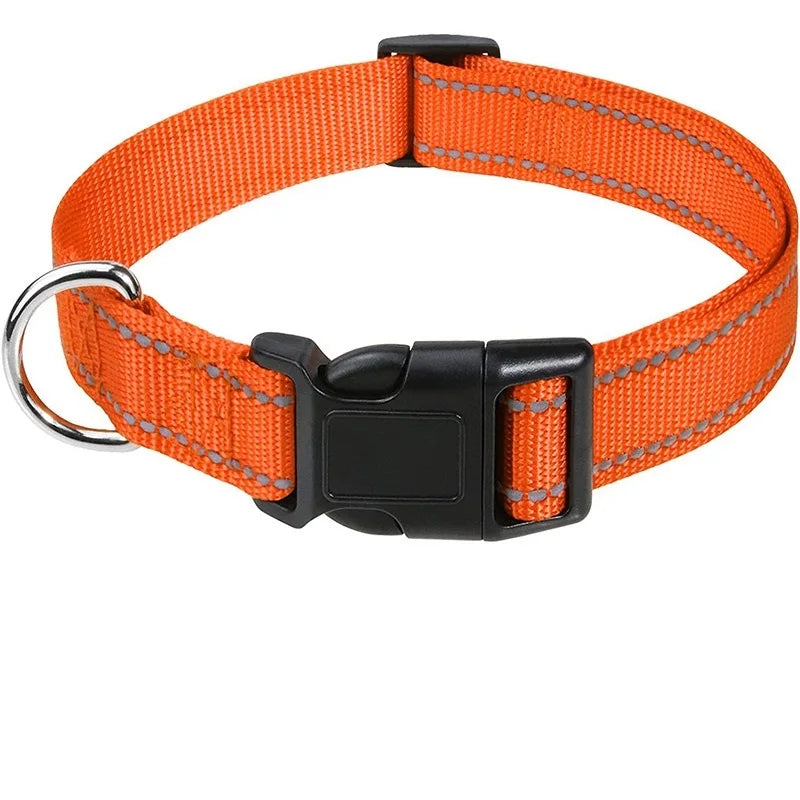 Decorative Small Dog Collar