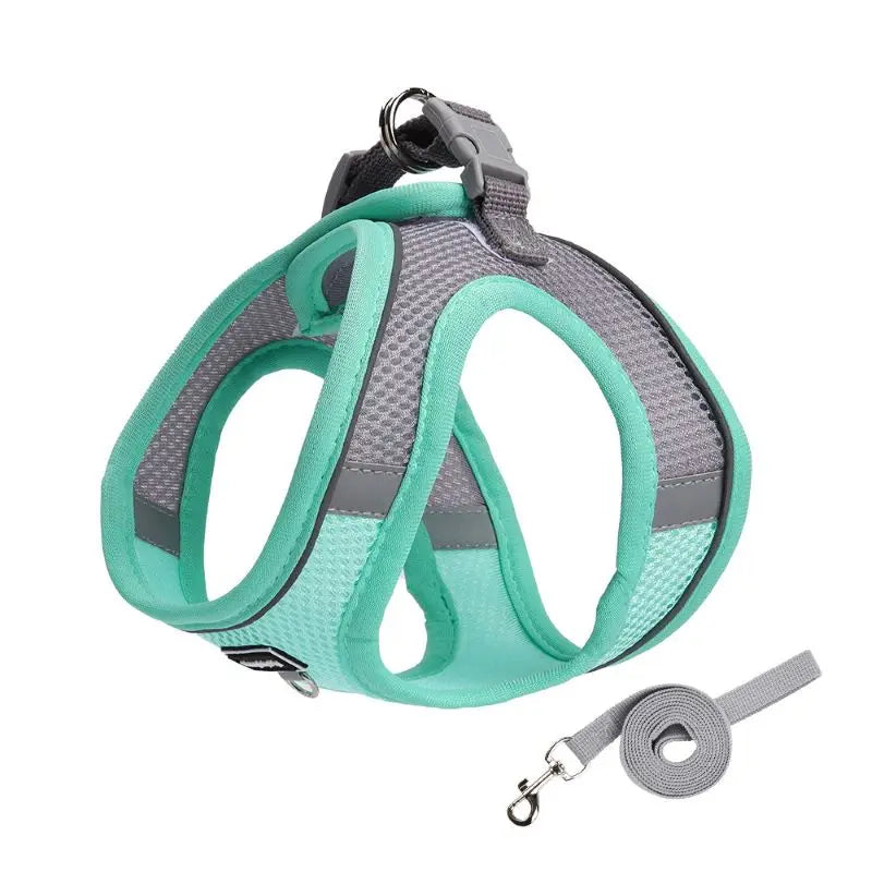Dog Harness and Leash Set