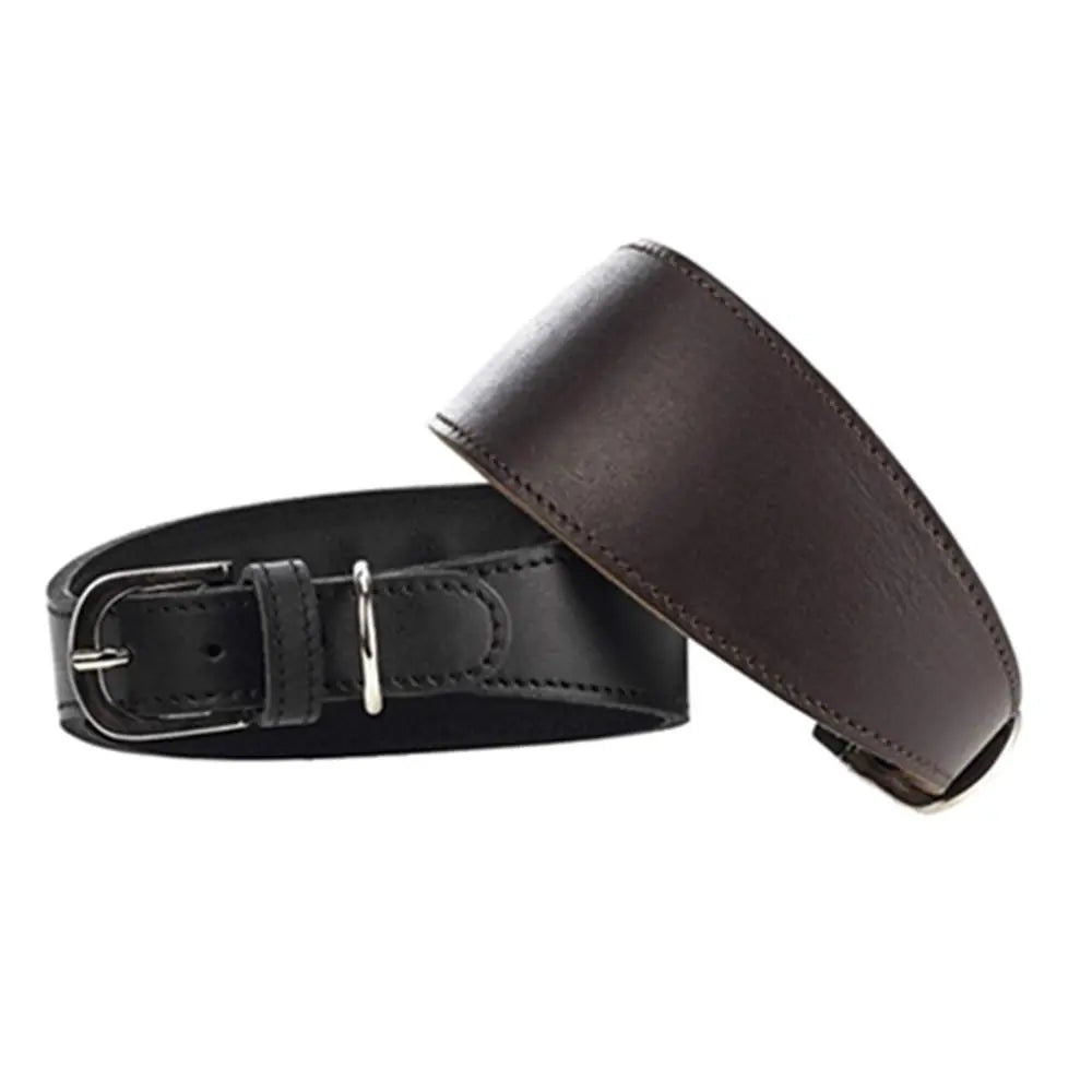 Adjustable Leather Dog Collar