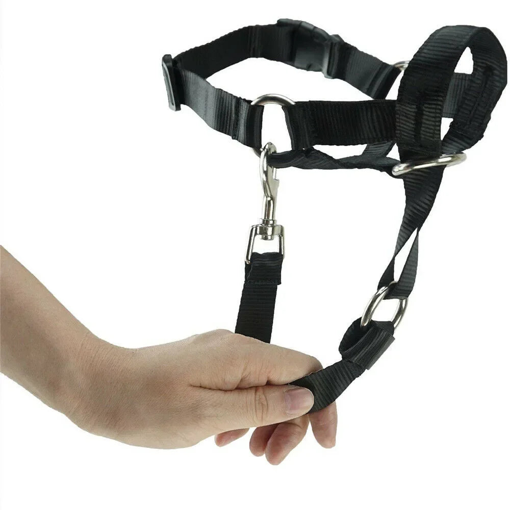 Dog Halter Training Head Collar