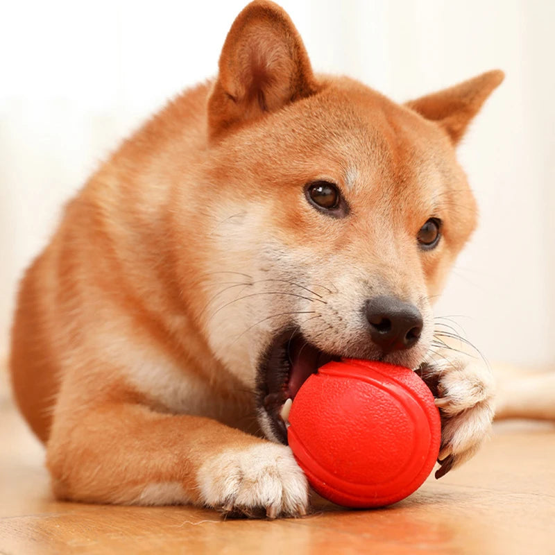 Durable Rubber Dog Ball