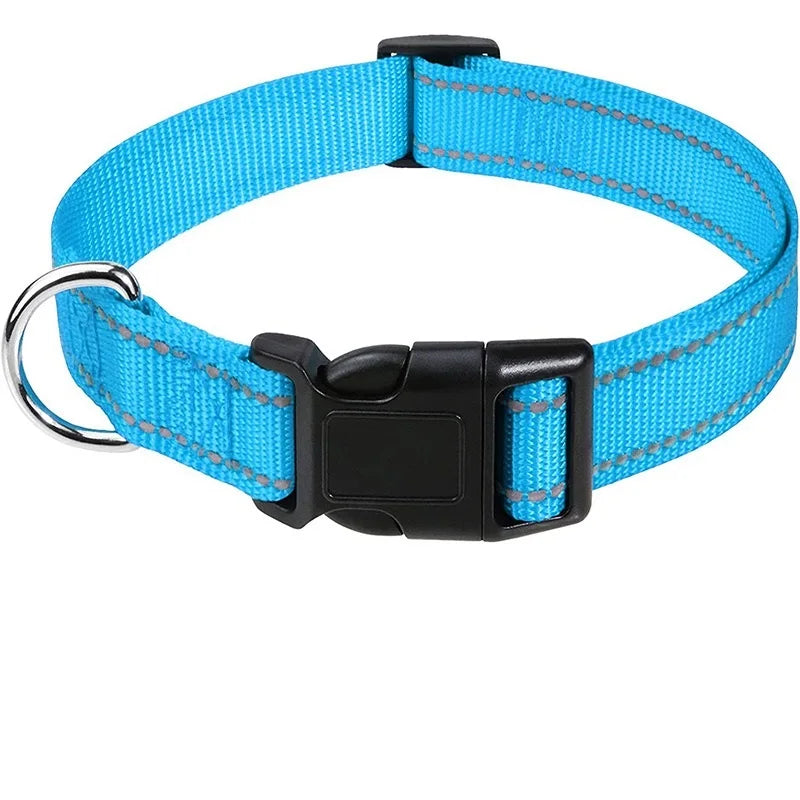 Decorative Small Dog Collar