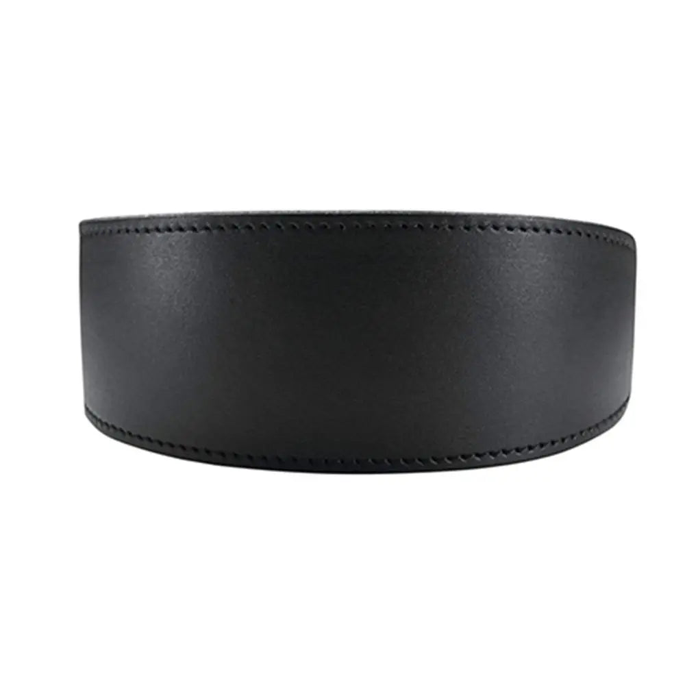 Adjustable Leather Dog Collar