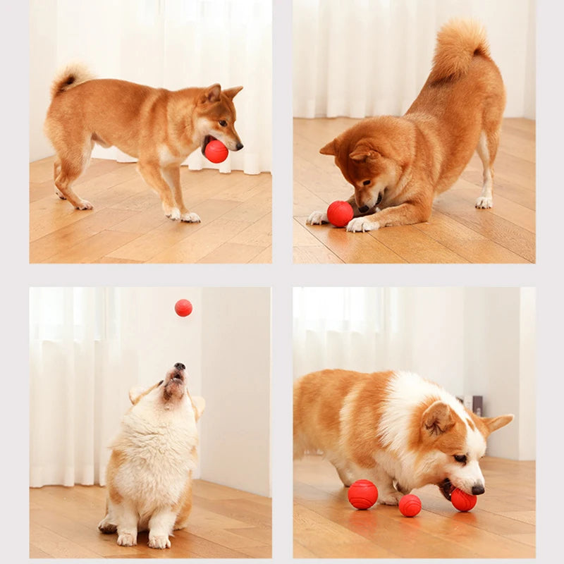 Durable Rubber Dog Ball
