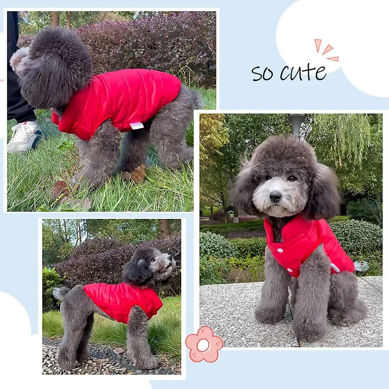 Double-Sided Dog Coat