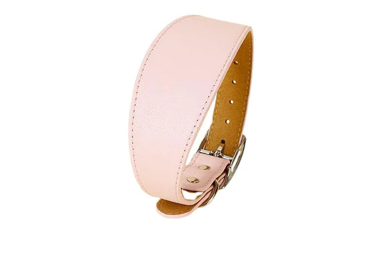 Wide Leather Dog Collar