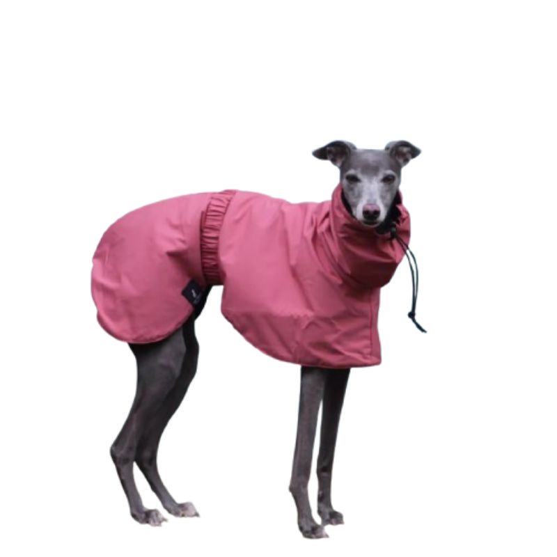 Fashion Waterproof Dog Vest
