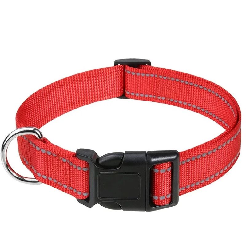 Decorative Small Dog Collar